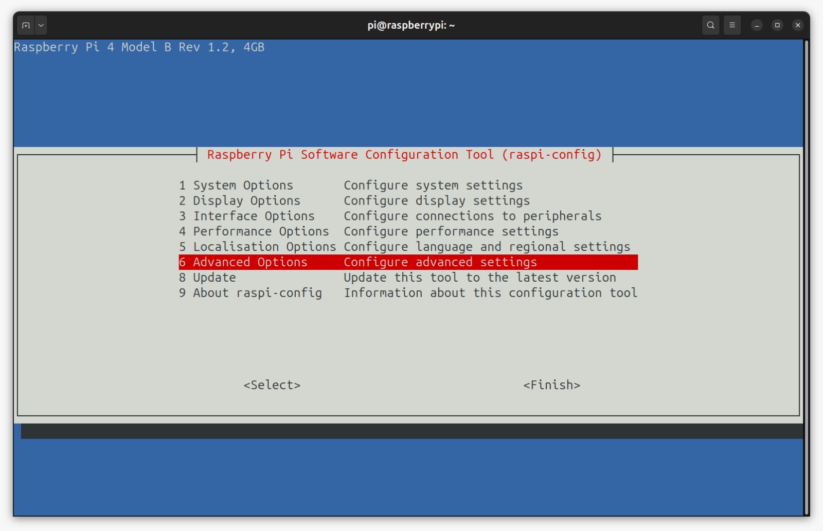 Raspi config advanced options selection